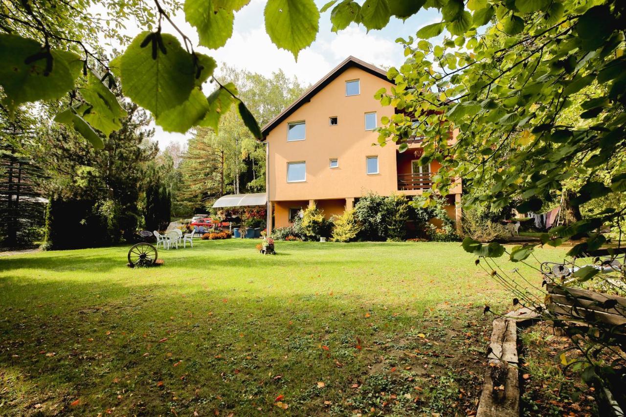 Vila Aris Zlatibor Apartment Exterior photo