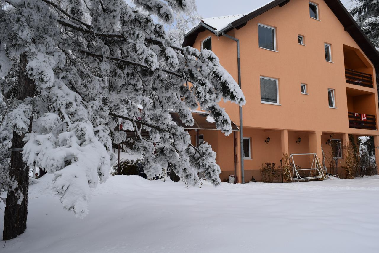 Vila Aris Zlatibor Apartment Exterior photo